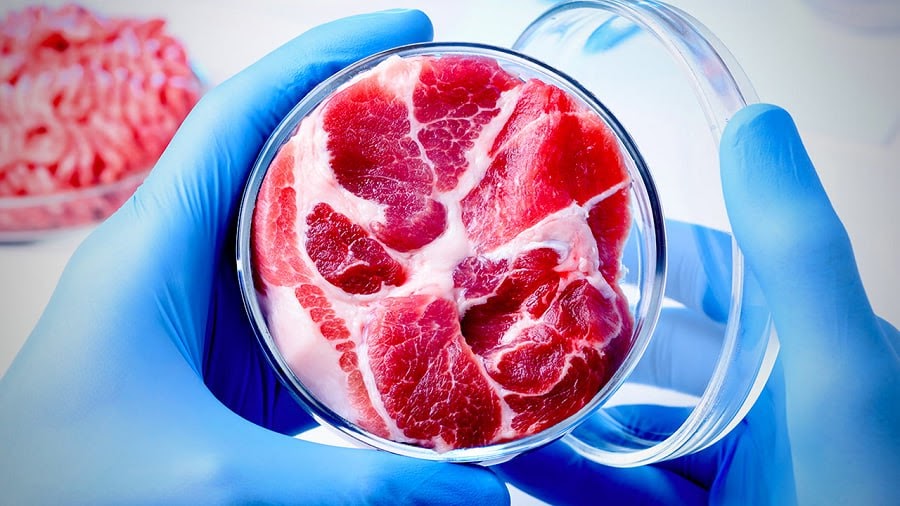 Itinanong ng Italy at Uruguay ang marketing ng lab-grown meat Itinanong ng Italy at Uruguay ang marketing ng lab-grown meat